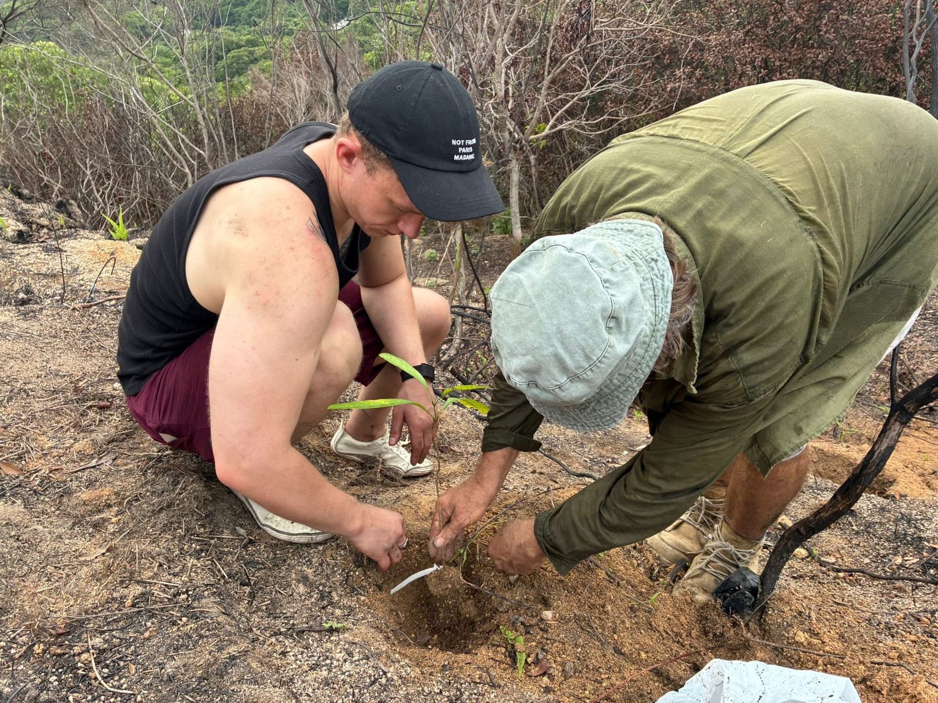 Two volunteers kneeling to plant a sapling on a Lantau hillside